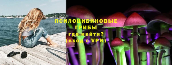 хмурый Балабаново