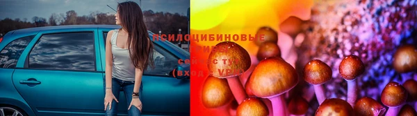 ГАЛЛЮЦИНОГЕННЫЕ ГРИБЫ Балахна
