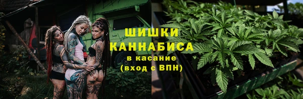 хмурый Балабаново