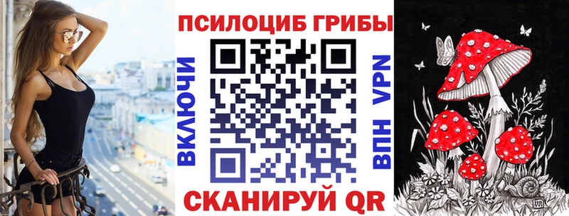 mega как войти  Глазов  Псилоцибиновые грибы Cubensis 